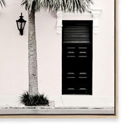 Palm Entrance