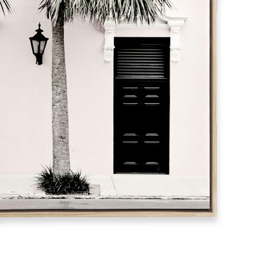 Palm Entrance
