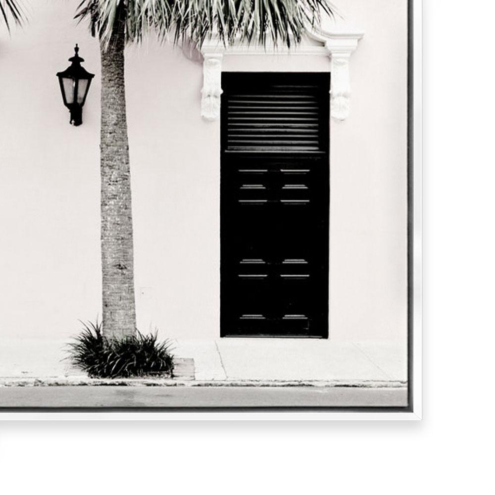 Palm Entrance