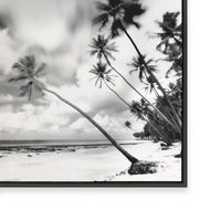 Palm Getaway III