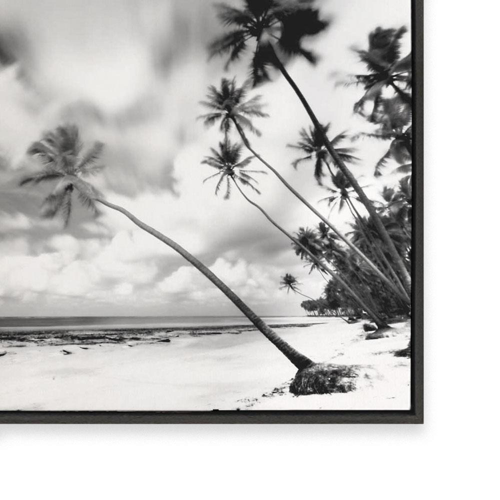 Palm Getaway III