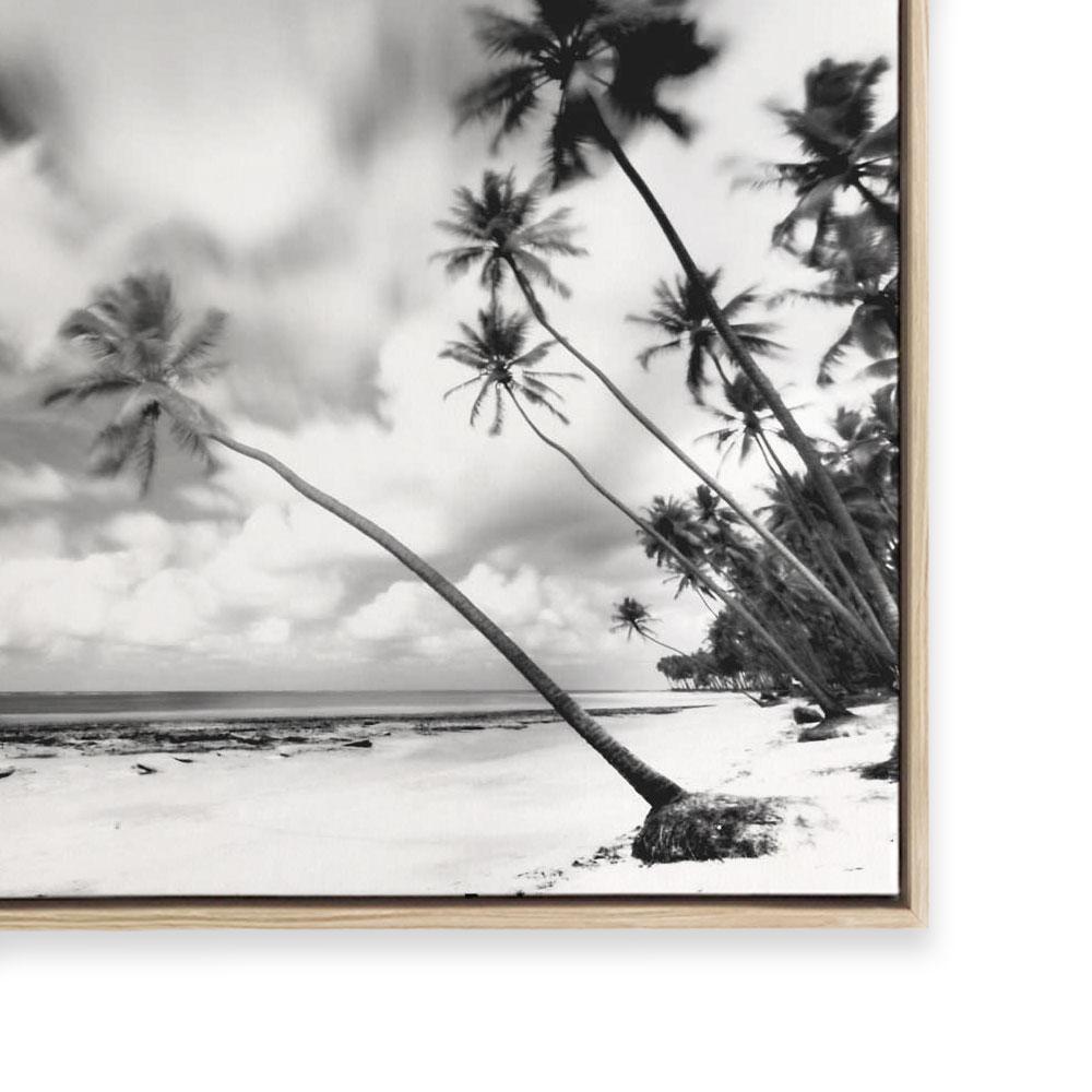Palm Getaway III