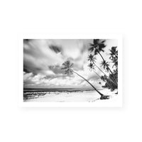 Palm Getaway III