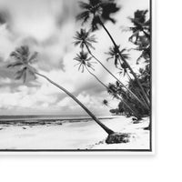 Palm Getaway III