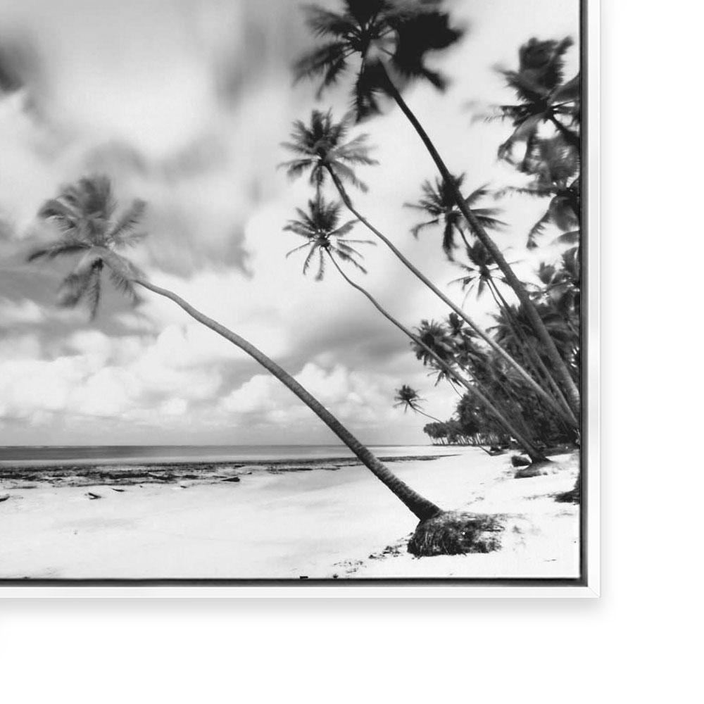 Palm Getaway III
