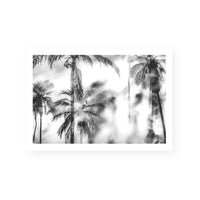 Palm Getaway II