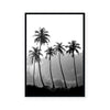 Palm Silhouette I