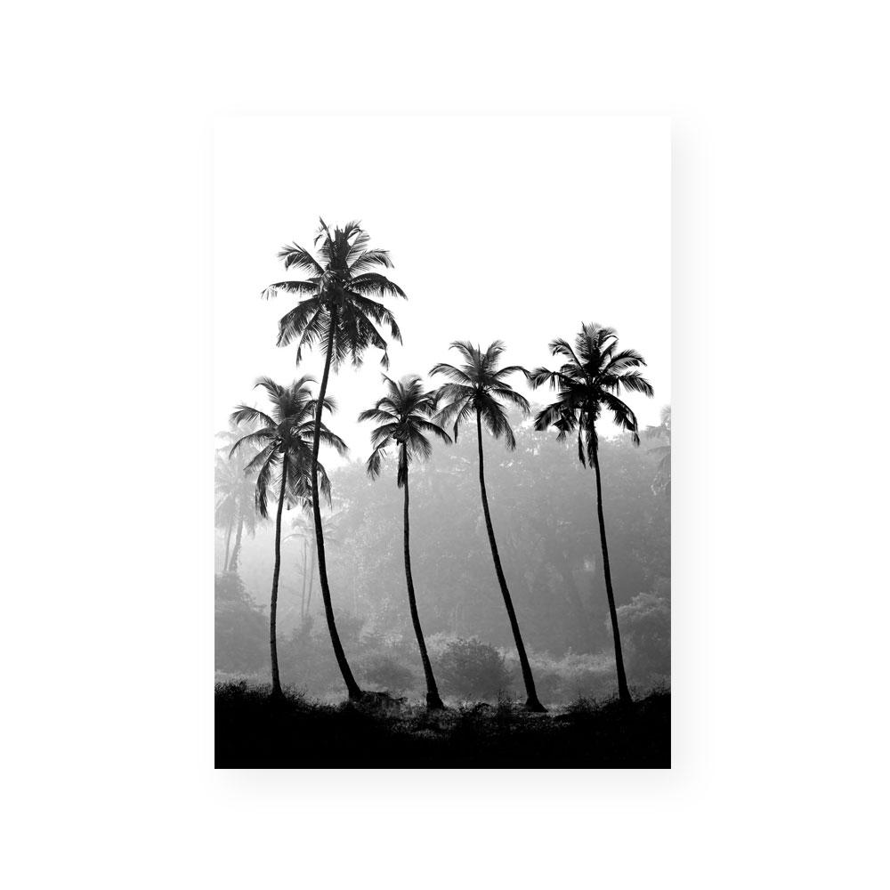 Palm Silhouette I