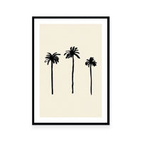 Palm Trees
