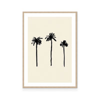 Palm Trees