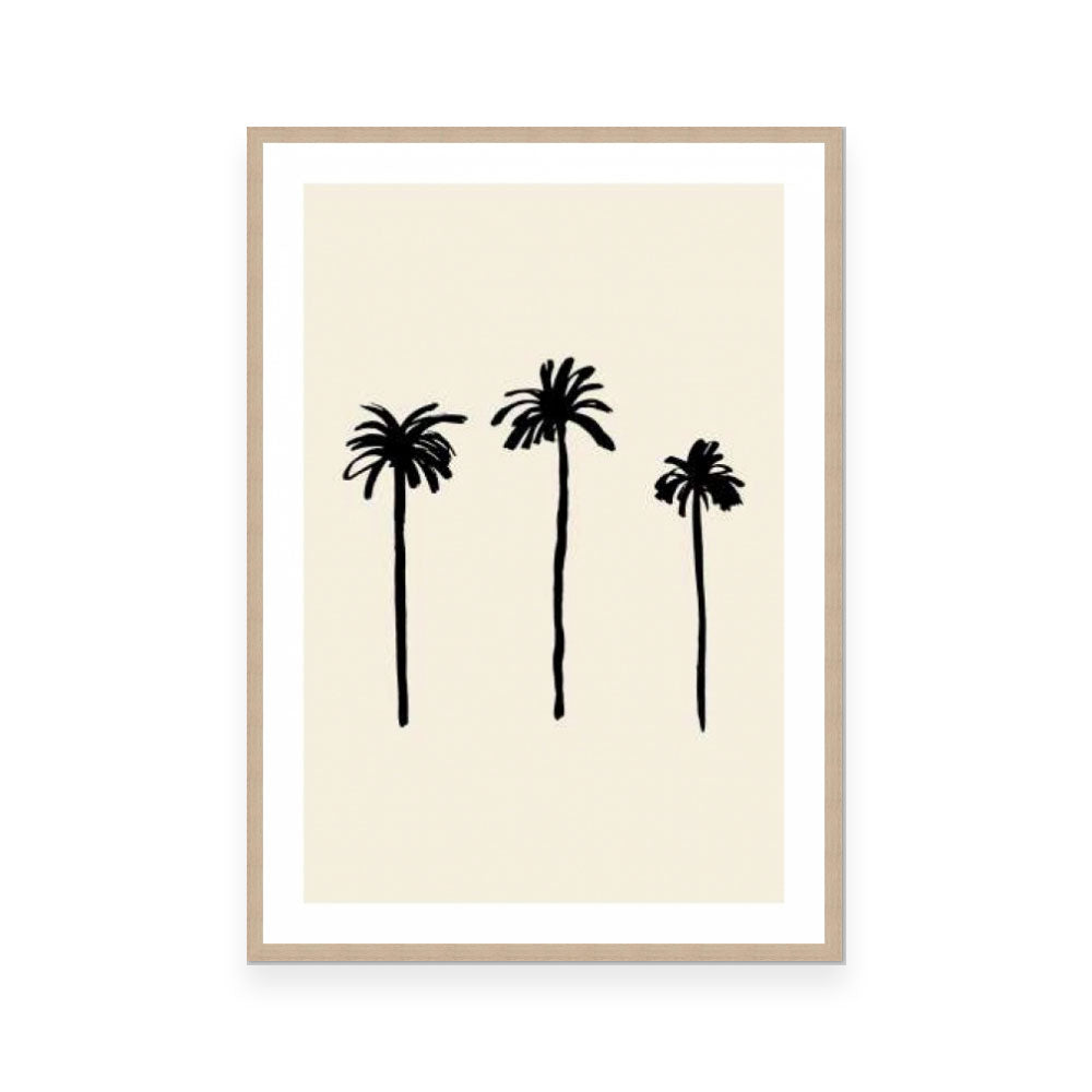 Palm Trees