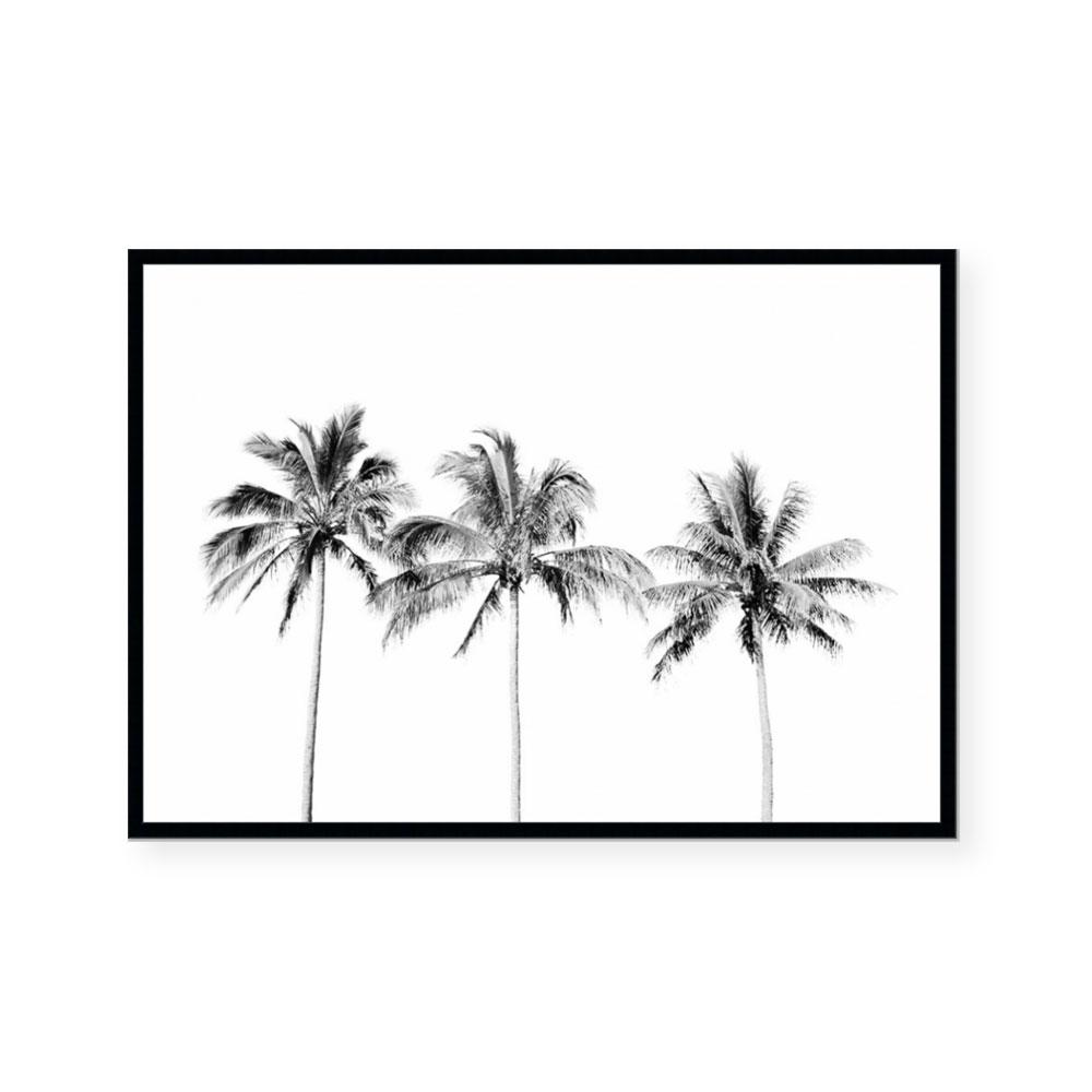 Palm Trio