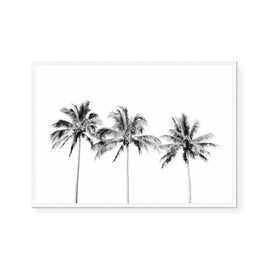 Palm Trio