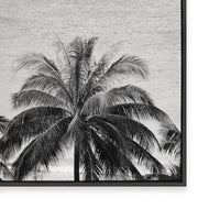 Palms