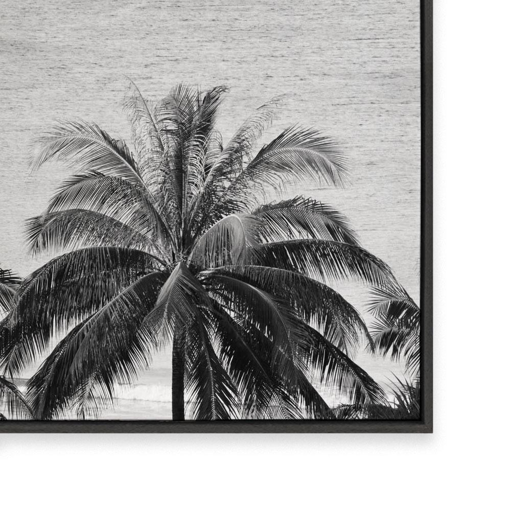 Palms