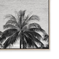 Palms