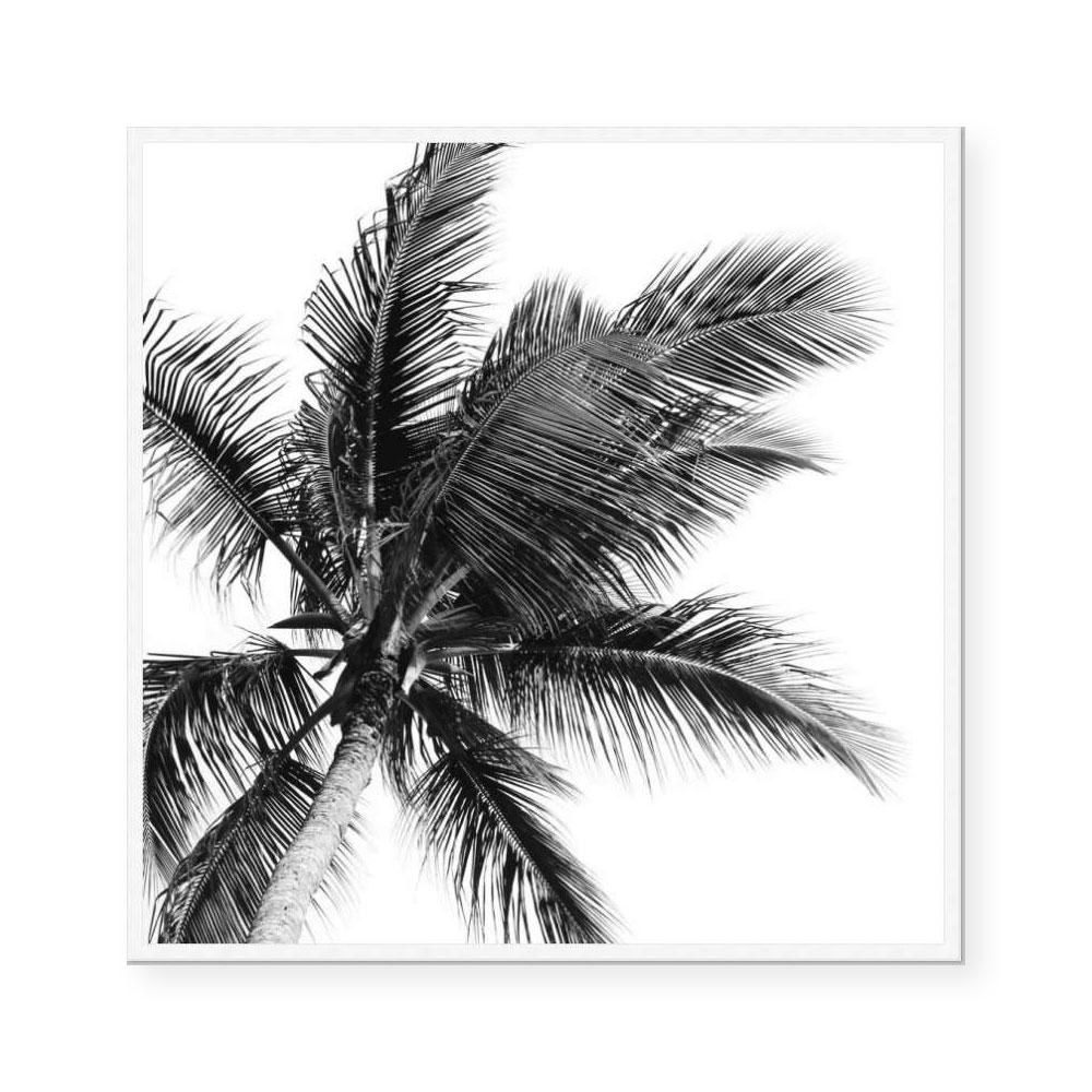 Palms Raised II