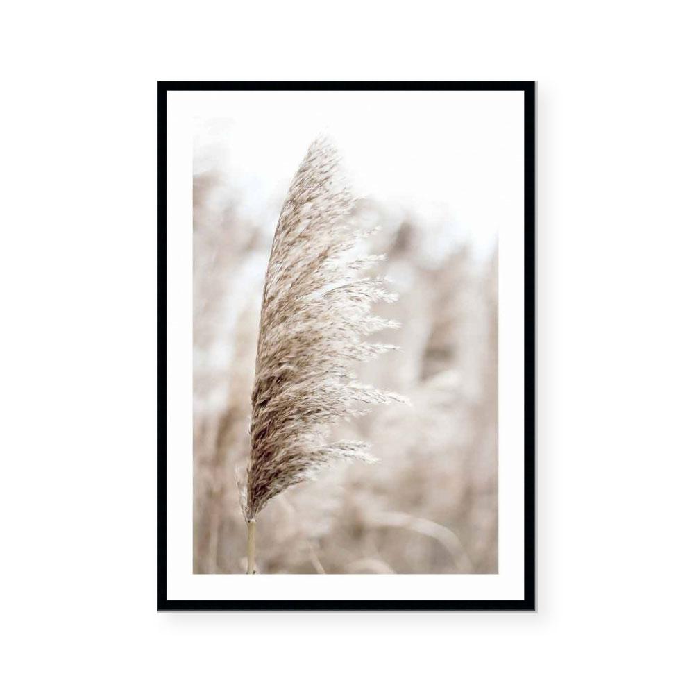 Pampas I