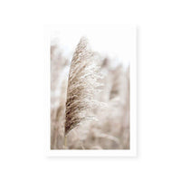 Pampas I