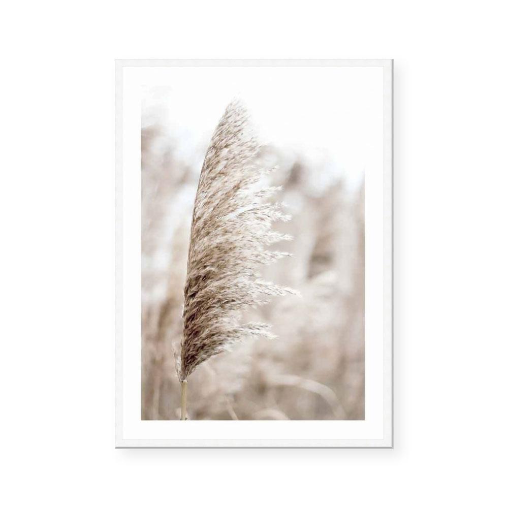 Pampas I