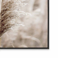 Pampas I