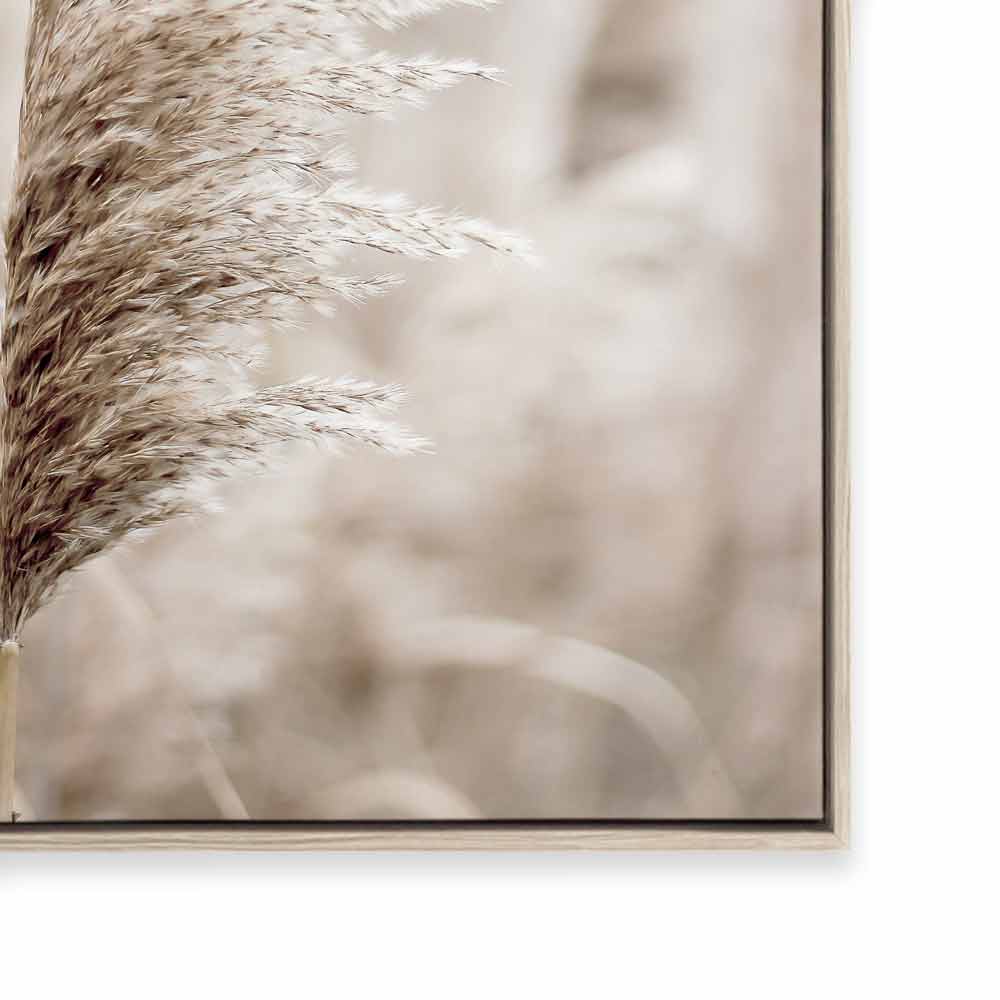 Pampas I