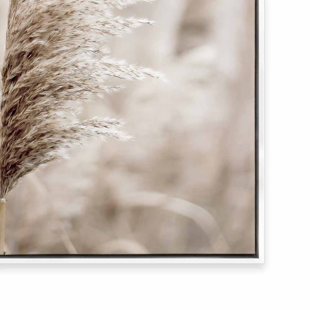 Pampas I
