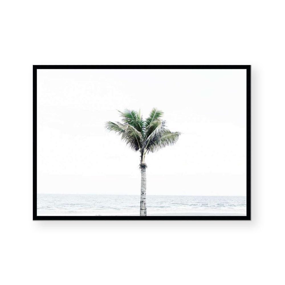 Peaceful Palms II