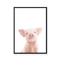 Piglet | Portrait