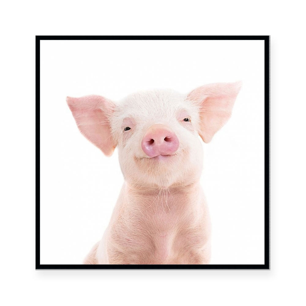 Piglet | Square
