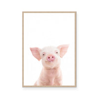 Piglet | Portrait