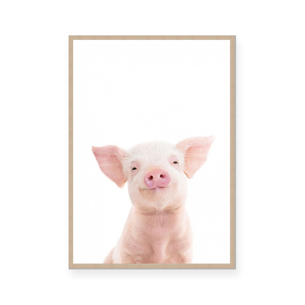 Piglet | Portrait