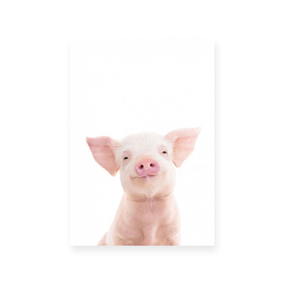 Piglet | Portrait