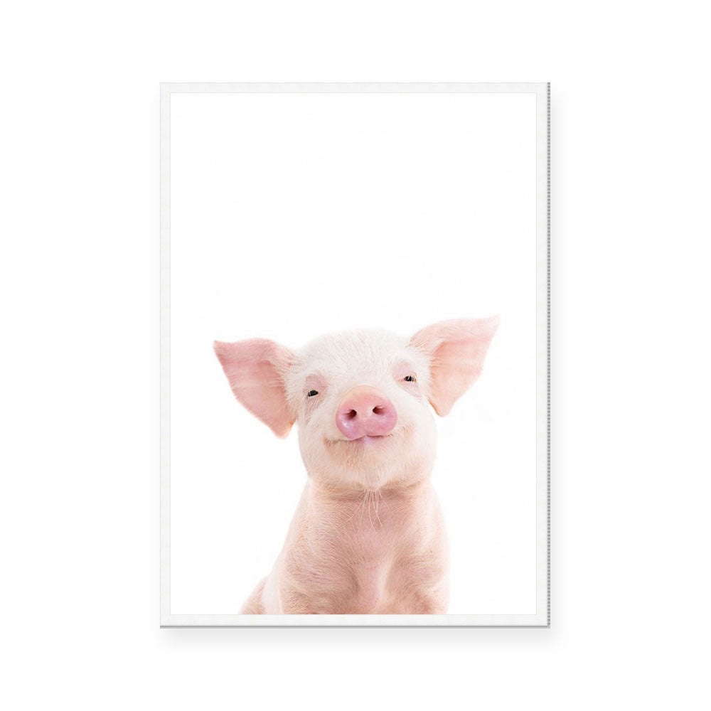 Piglet | Portrait