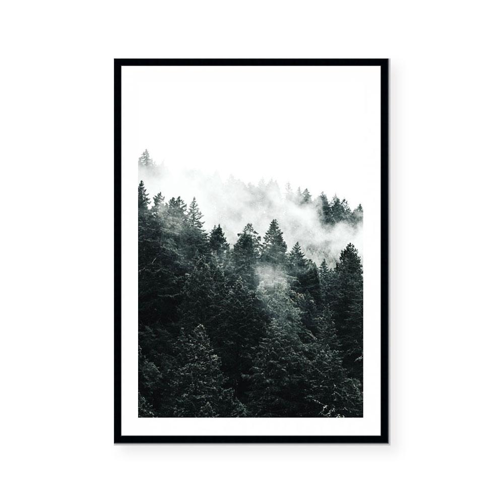 Pine Forest