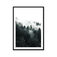 Pine Forest
