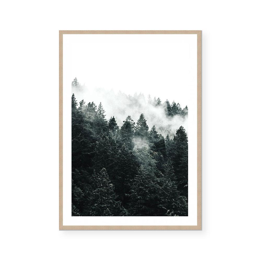 Pine Forest