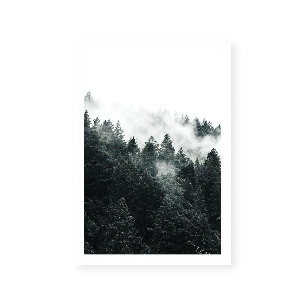 Pine Forest