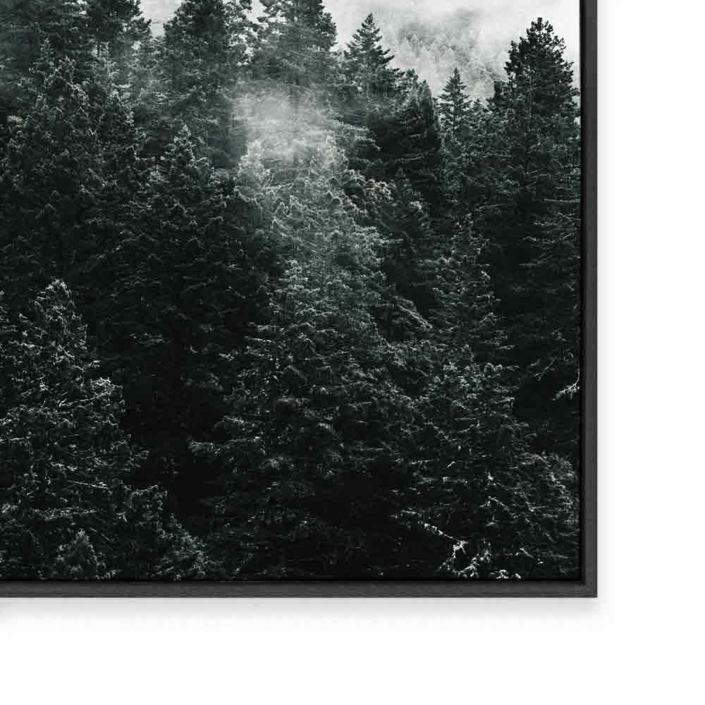 Pine Forest