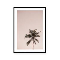 Pink Palm Sunrise