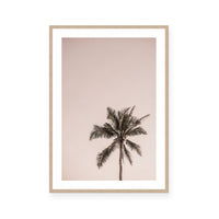 Pink Palm Sunrise