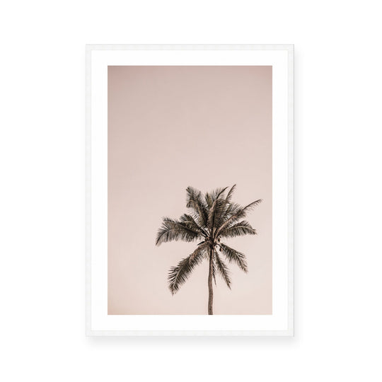 Pink Palm Sunrise