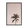 Pink Palm Sunrise | Framed Canvas
