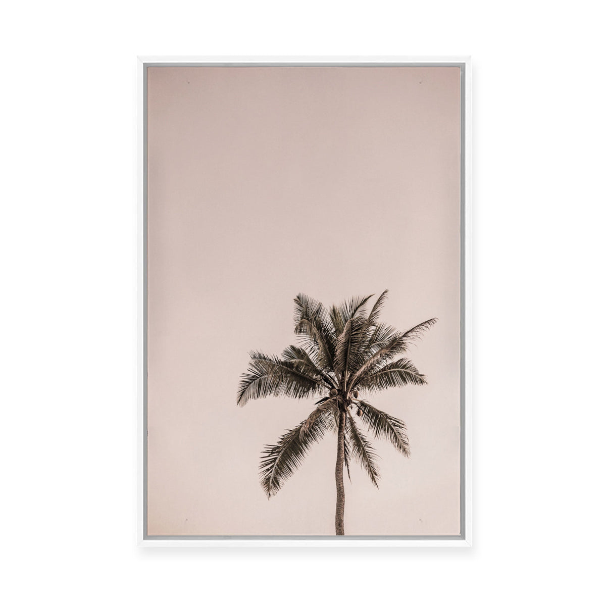 Pink Palm Sunrise | Framed Canvas