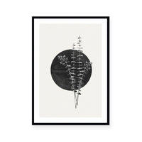 Moon Botanical I