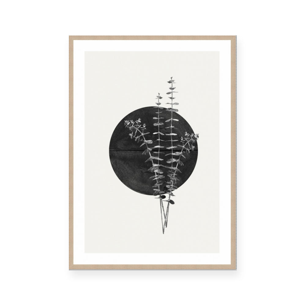 Moon Botanical I