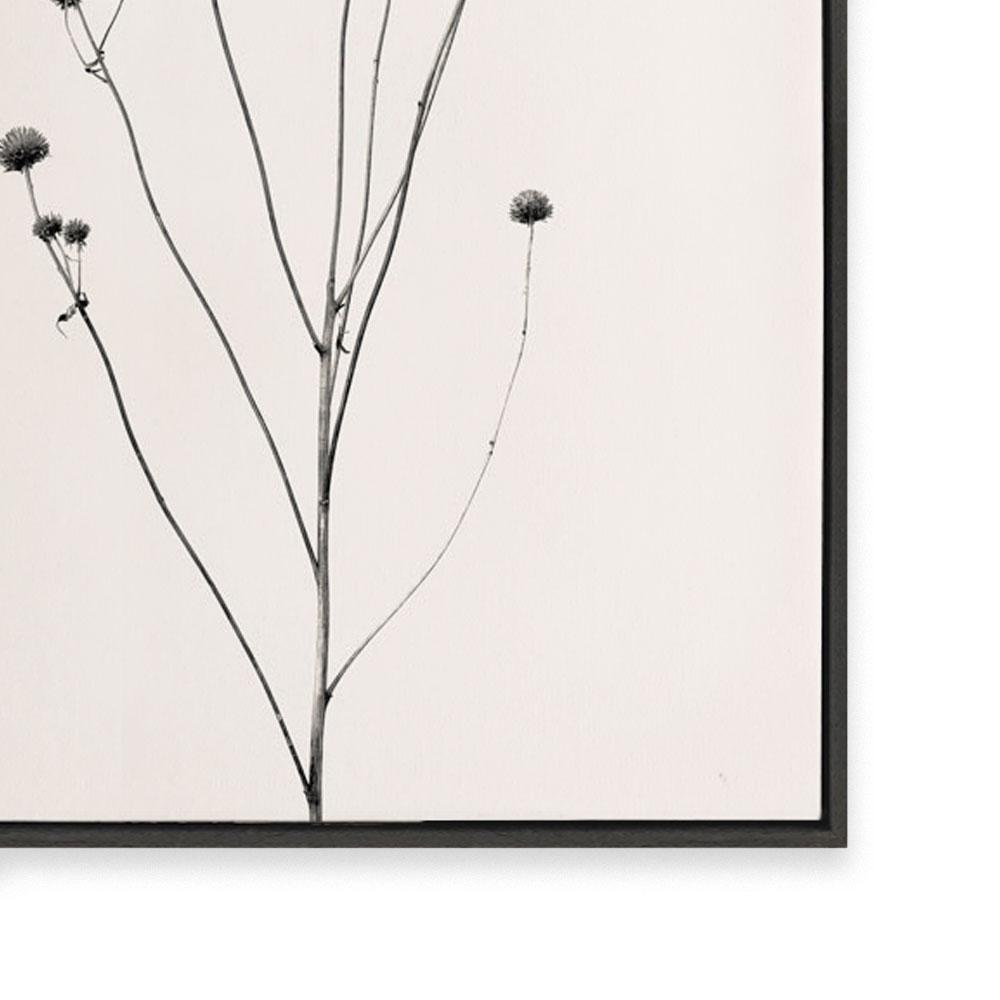 Prairie Plant III