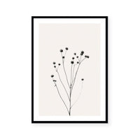 Prairie Plant III