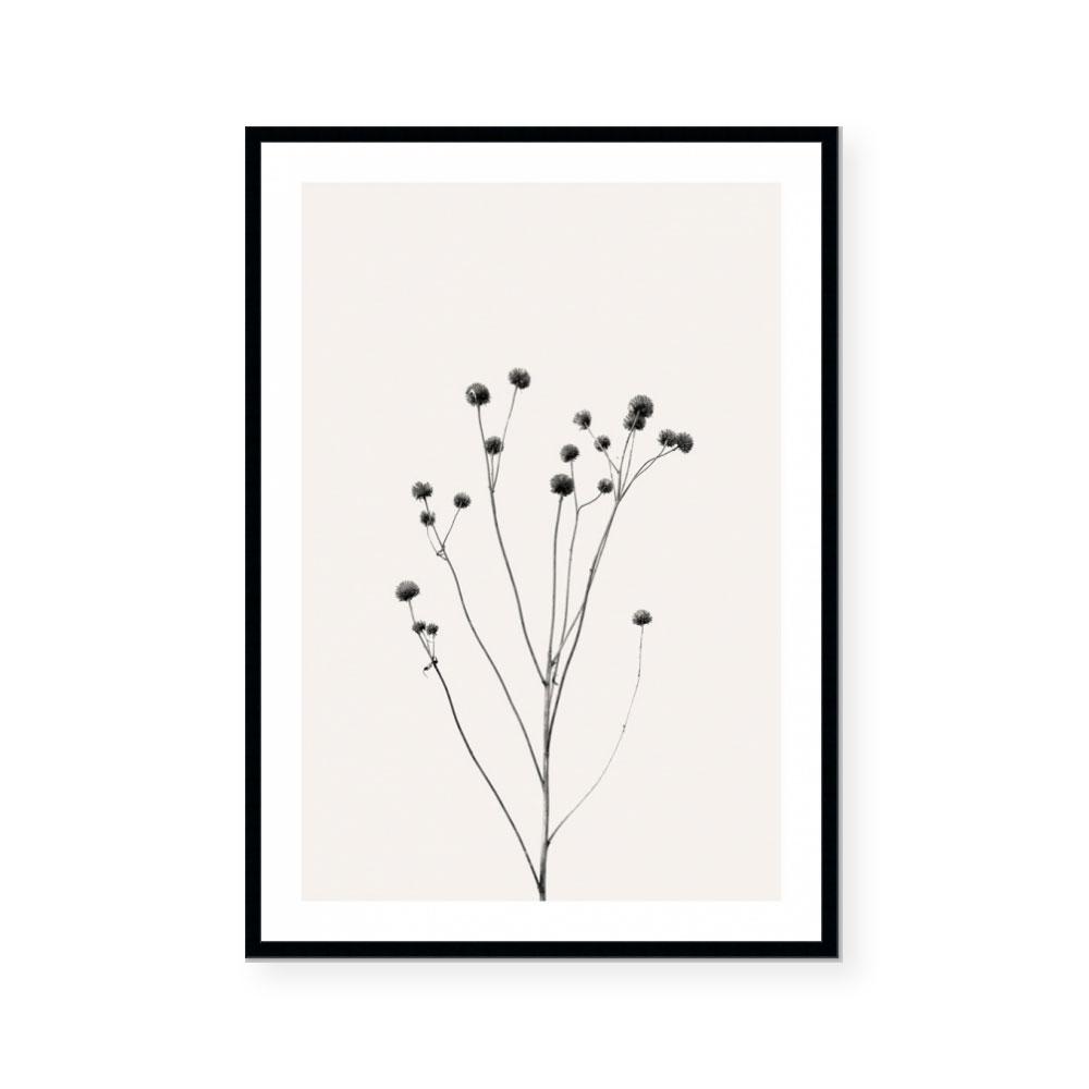 Prairie Plant III
