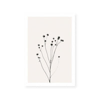 Prairie Plant III